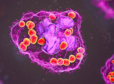 Breakthrough Discoveries: New Cell Types Transforming Medicine