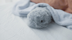 Moflin: Futurist view on Emotional Companionship in a Robotic Pet