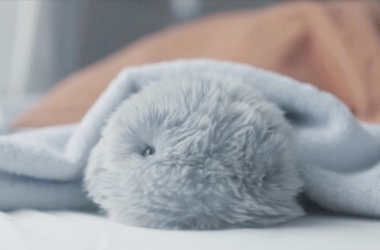 Moflin: Futurist view on Emotional Companionship in a Robotic Pet