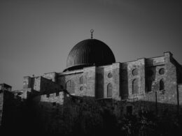 a black and white photo of a building with a dome