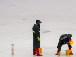 Australia Chasing 265 After Rohit’s 73, Connolly Hits Maiden 50 in IND vs AUS 2nd ODI at Adelaide Oval 9 a couple of people that are standing in the snow
