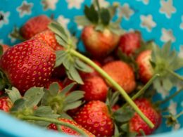 red strawberries on white plate