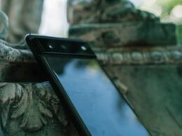 a cell phone on a tree branch