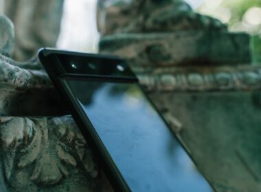 a cell phone on a tree branch