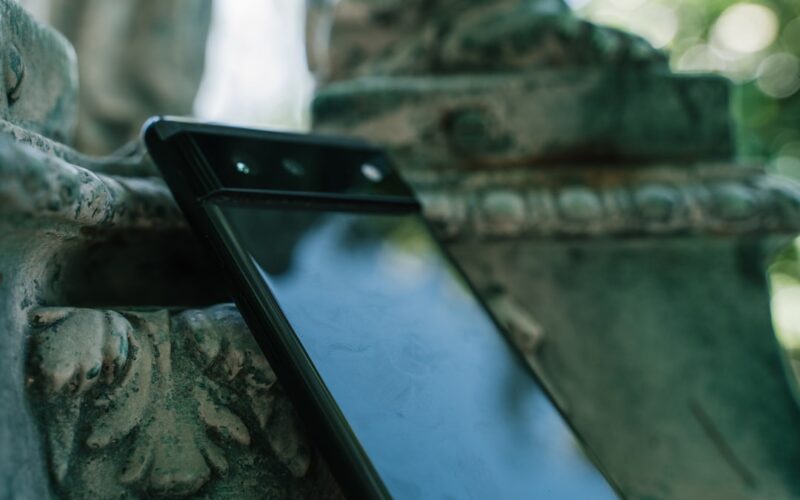 a cell phone on a tree branch