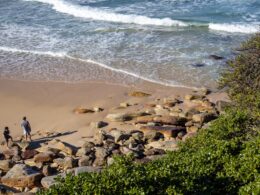 A couple of people standing on top of a sandy beach