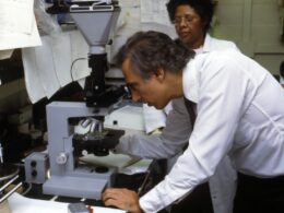 man using microscope