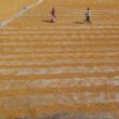 a couple of people walking across a sandy field