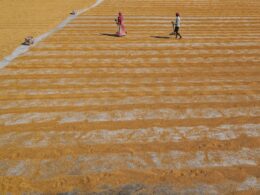 a couple of people walking across a sandy field