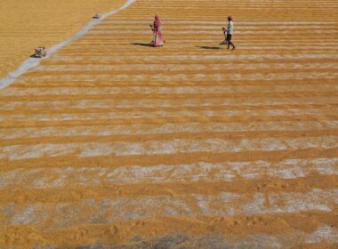 a couple of people walking across a sandy field