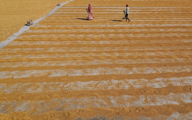 a couple of people walking across a sandy field