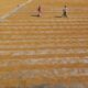 a couple of people walking across a sandy field