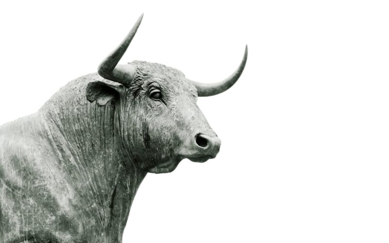 bull grayscale photo