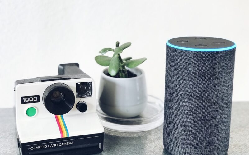 polaroid land camera beside Amazon Echo