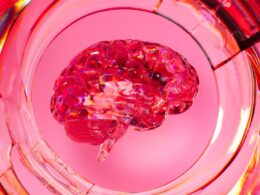 A close up of a glass with a pink substance in it