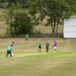 People are playing cricket on a grassy field.