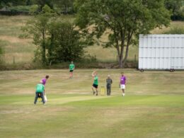 People are playing cricket on a grassy field.