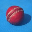 Here is a caption for the image: a red cricket ball rests on a blue surface.
