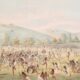 Native americans playing a game on a grassy field.