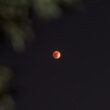 a red moon is seen in the night sky