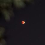 a red moon is seen in the night sky