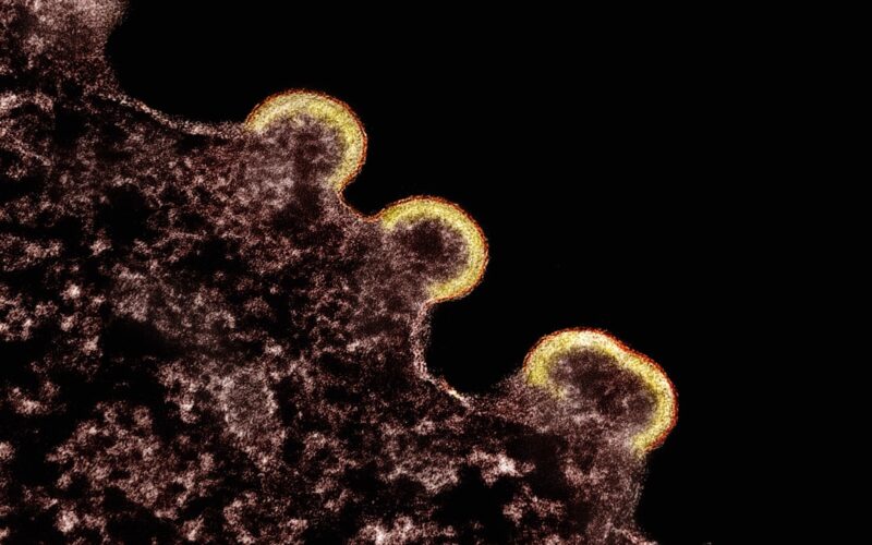 a close up of a cell phone with a black background