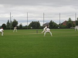 A group of men playing a game of cricket