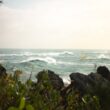 green grass on rocky shore during daytime