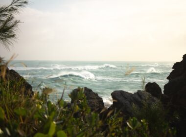 green grass on rocky shore during daytime