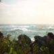 green grass on rocky shore during daytime