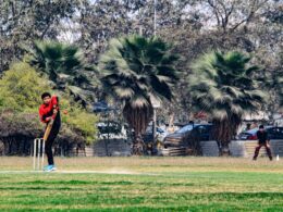 a man playing a game of cricket in a park