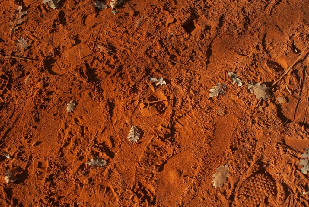 brown and gray rocks during daytime