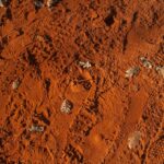 brown and gray rocks during daytime