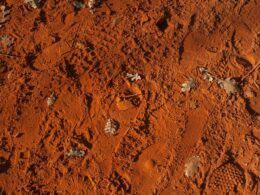 brown and gray rocks during daytime
