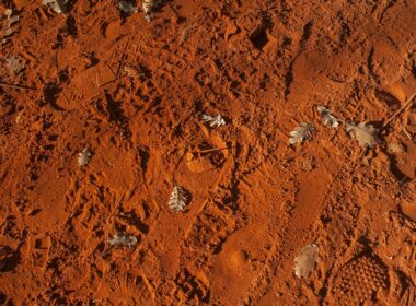 brown and gray rocks during daytime