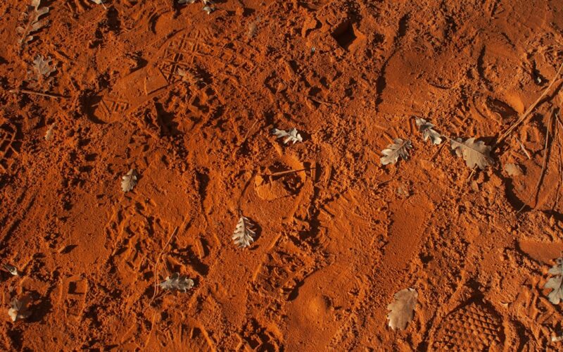 brown and gray rocks during daytime