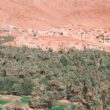 an aerial view of a village in the desert