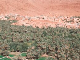 an aerial view of a village in the desert