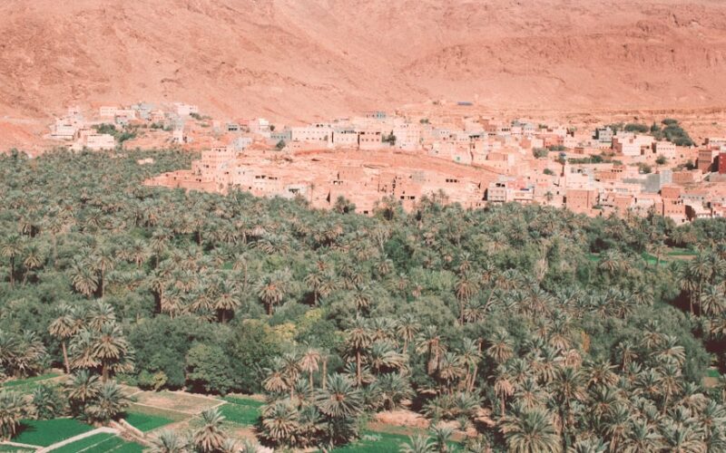 an aerial view of a village in the desert