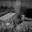 a black and white photo of a cemetery