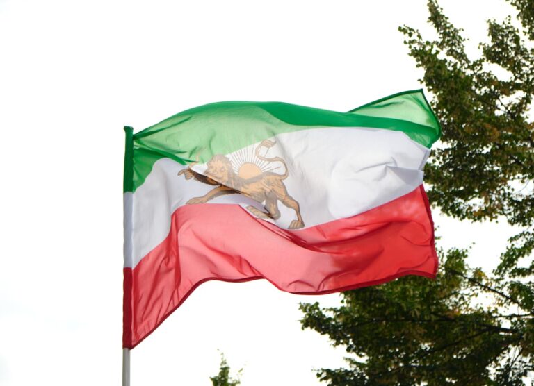 a flag with a lion on it