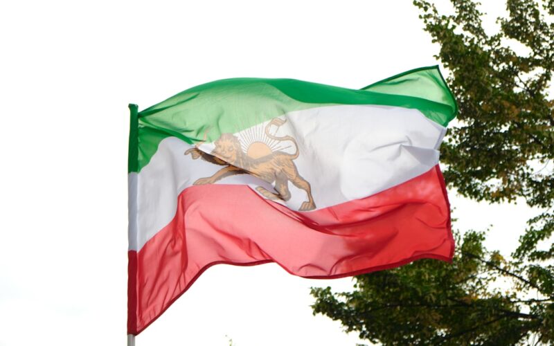 a flag with a lion on it