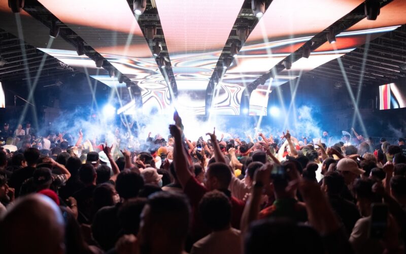 a large crowd of people at a concert