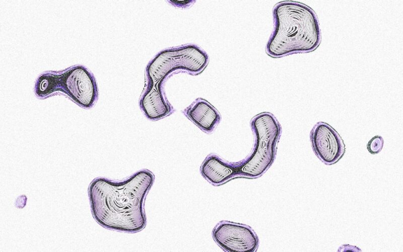 Abstract shapes float against a white background.