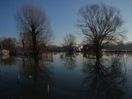 a flooded street with trees and houses in the background