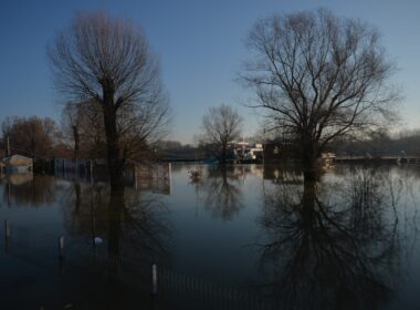a flooded street with trees and houses in the background