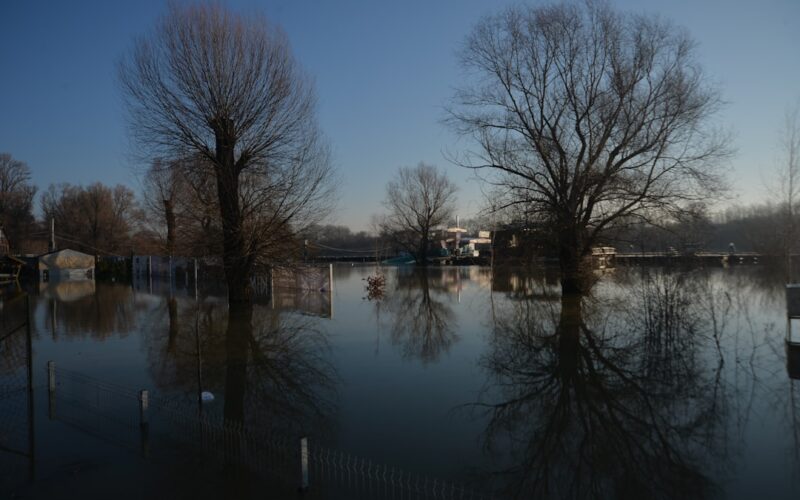 a flooded street with trees and houses in the background