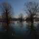 a flooded street with trees and houses in the background