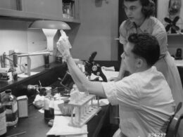 Two people working in a laboratory with equipment
