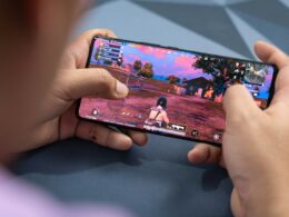 a person holding a phone